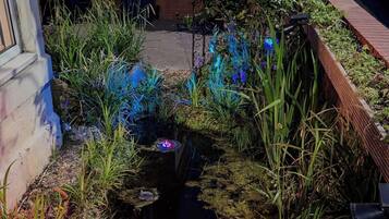 A garden with a pond, various plants, and a recycling bin.