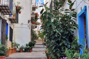 Une rue étroite, bordée de bâtiments des deux côtés, avec des plantes en pot et un escalier menant à un niveau supérieur.