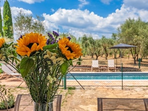 A poolside area with a clear view of the pool, surrounded by greenery and a pergola. - The San Leonino House (Castellina in Chianti)