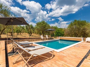 A swimming pool with lounge chairs and umbrellas, surrounded by trees. - The San Leonino House (Castellina in Chianti)