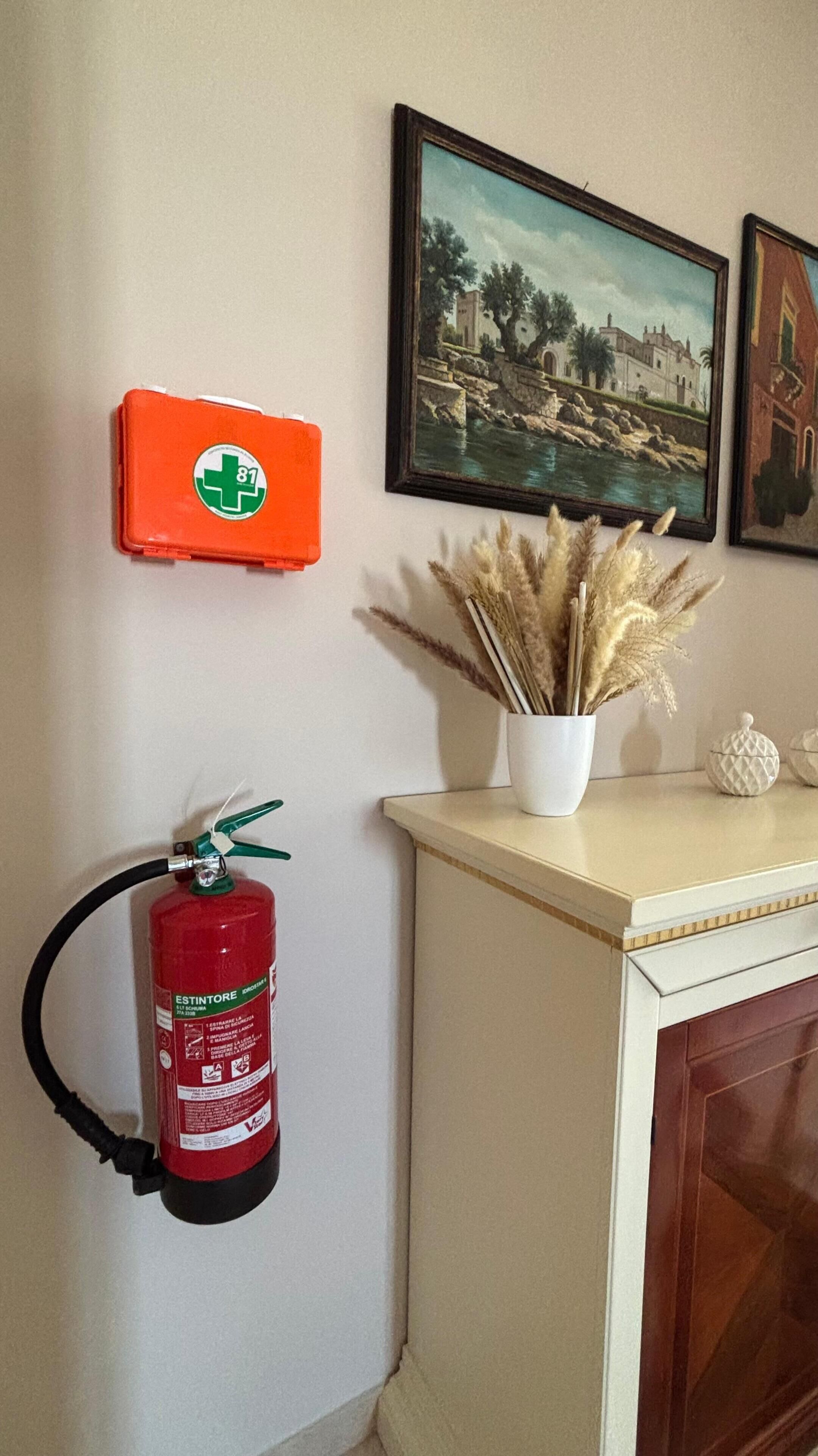 A fire extinguisher mounted on the wall, a framed landscape painting, and a vase with dried plants on a cabinet.