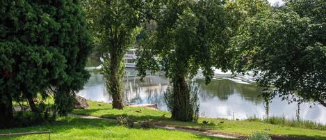 Un entorno tranquilo junto al lago, con abundante vegetación y un bote amarrado al agua.