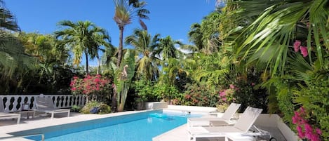 Outdoor pool, sun loungers