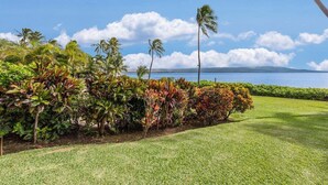 A landscaped garden with a variety of tropical plants and a view of the ocean. - Ocean-view 1BR condo with pool, AC and beach access-Maalaea Banyans 112 (Wailuku)