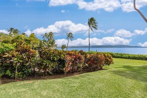 Ein angelegter Garten mit verschiedenen tropischen Pflanzen und Blick auf den Ozean.