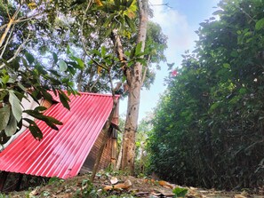 A red corrugated metal structure, possibly a shed or small building, surrounded by dense foliage and trees. - cabaña con baño interno, en el balcón jacuzzi (Quebradanegra)