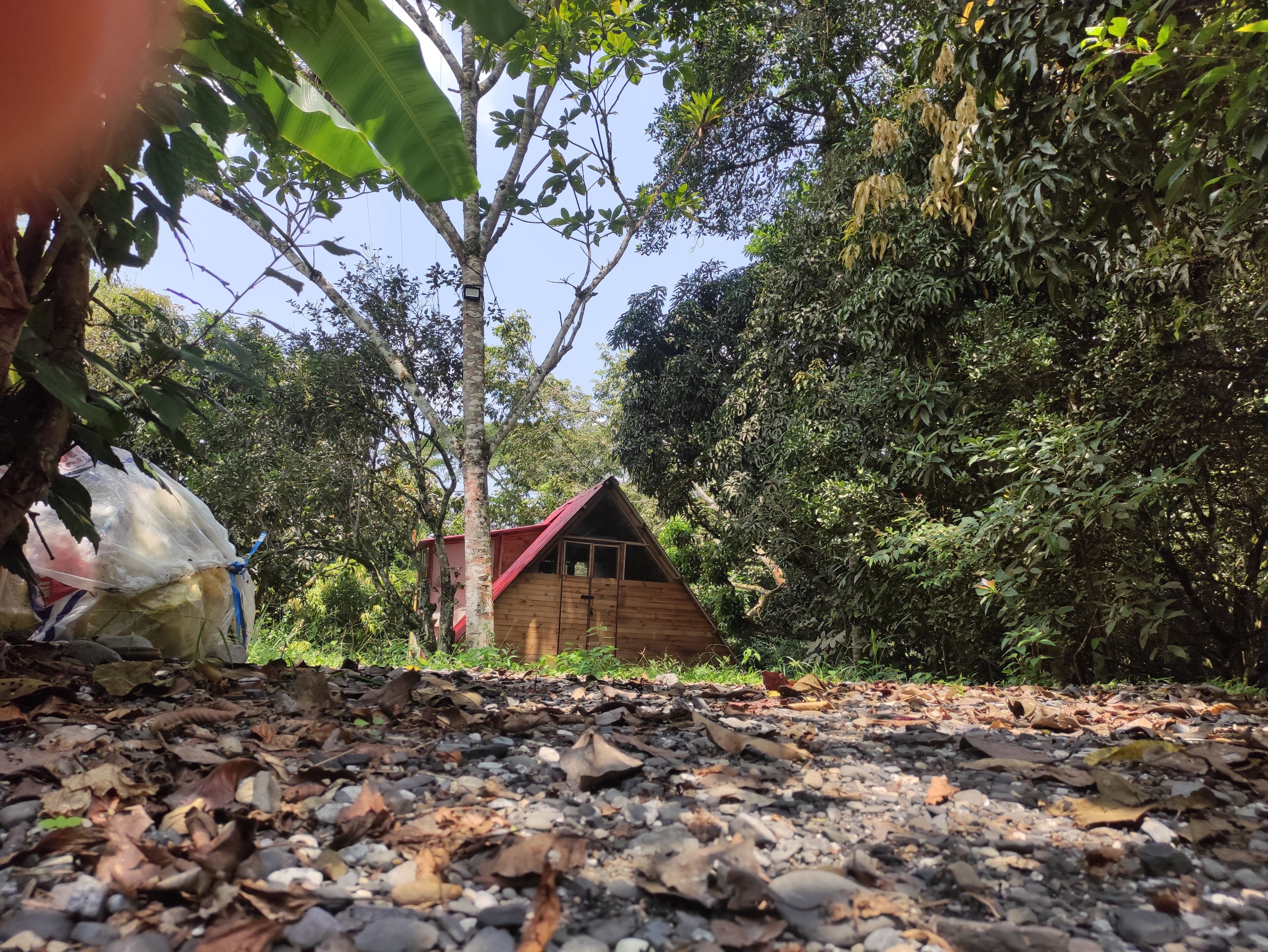A wooden cabin with a red roof surrounded by dense foliage.