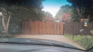 A gated driveway leading to a house with a number 3 sign, surrounded by trees and a grassy area.