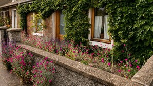 A traditional stone building with ivy-covered walls, a stone pathway, and vibrant flowers. - Ivy & Ink Cottage - Inverness (Inverness)