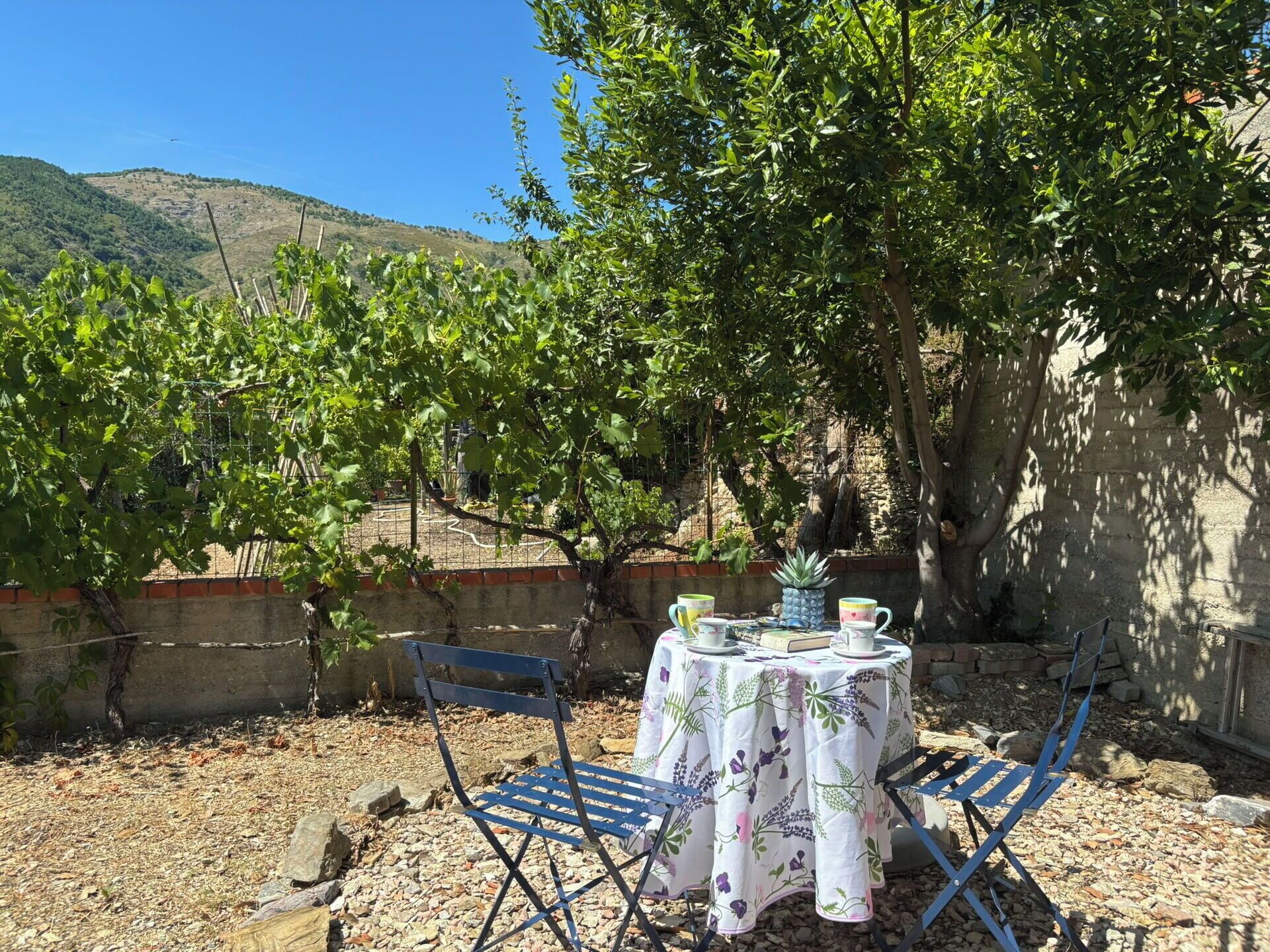 Restauration en plein air