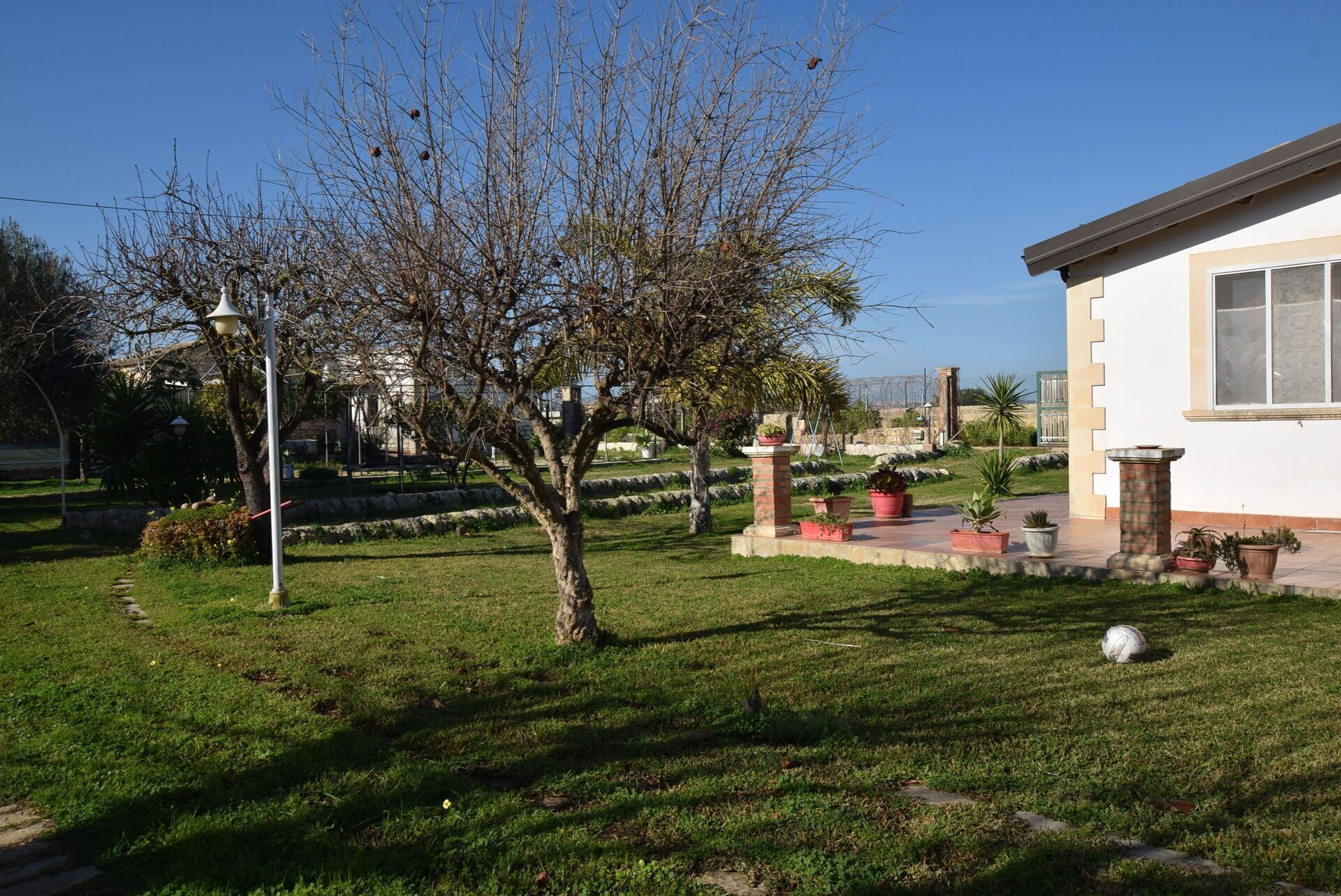 A residential area with a house, a lawn, and a tree.