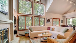 TV, fireplace, books, stereo