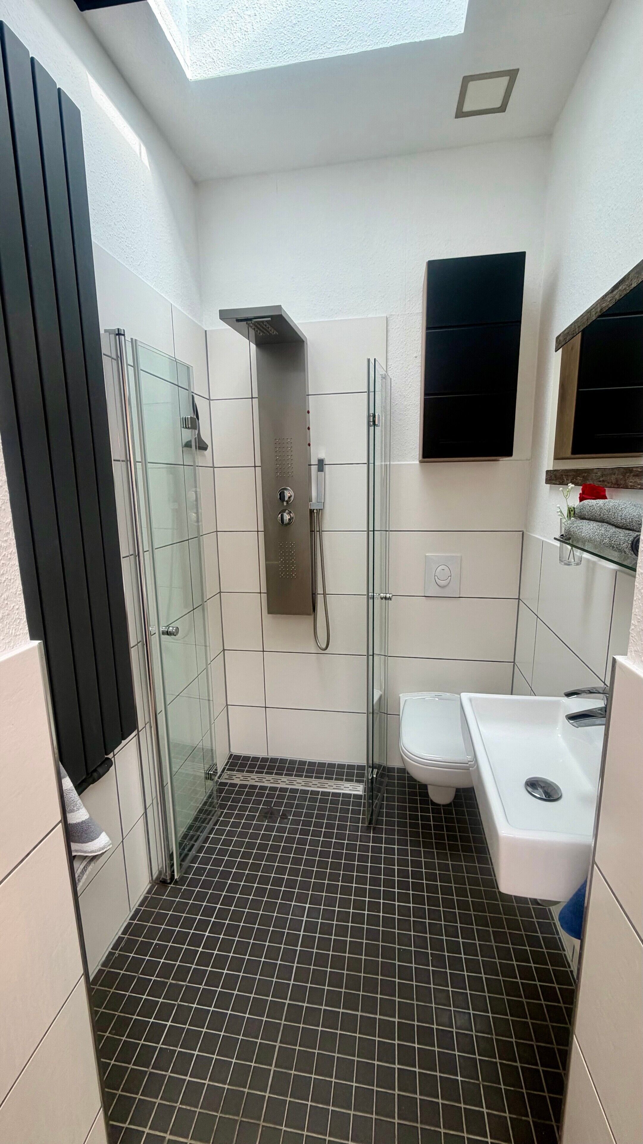 Dusche, Haartrockner, Handtücher