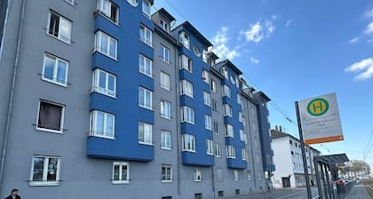 Furnished 1-Bedroom Apartment in Mannheim – Ready for Move-In After High-Quality Renovation