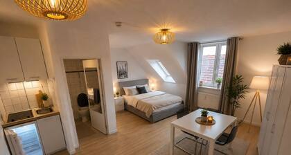 Furnished 1-Bedroom Apartment in Mannheim – Ready for Move-In After High-Quality Renovation