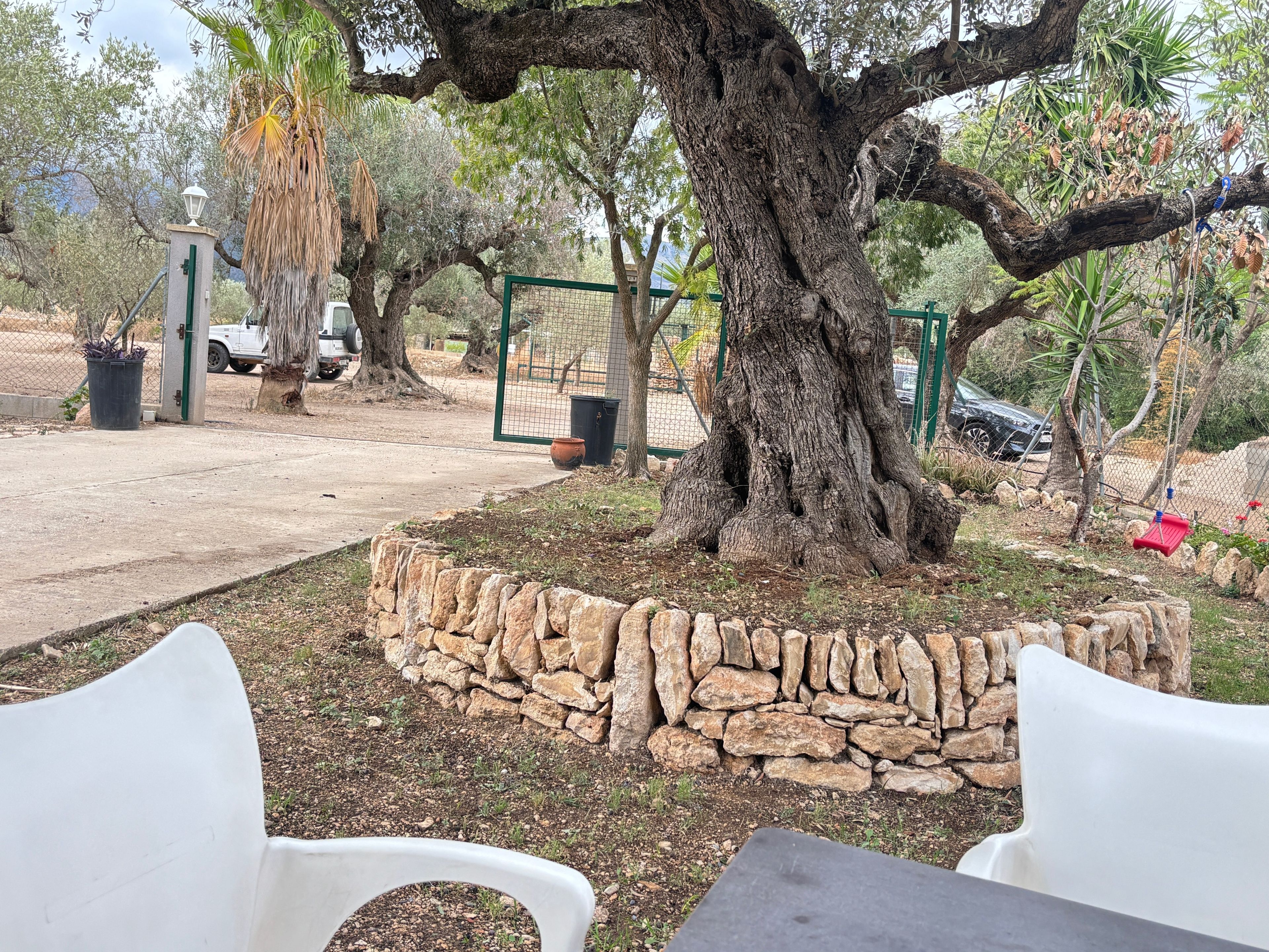 Un muro de piedra, un árbol grande y una silla de plástico blanca.
