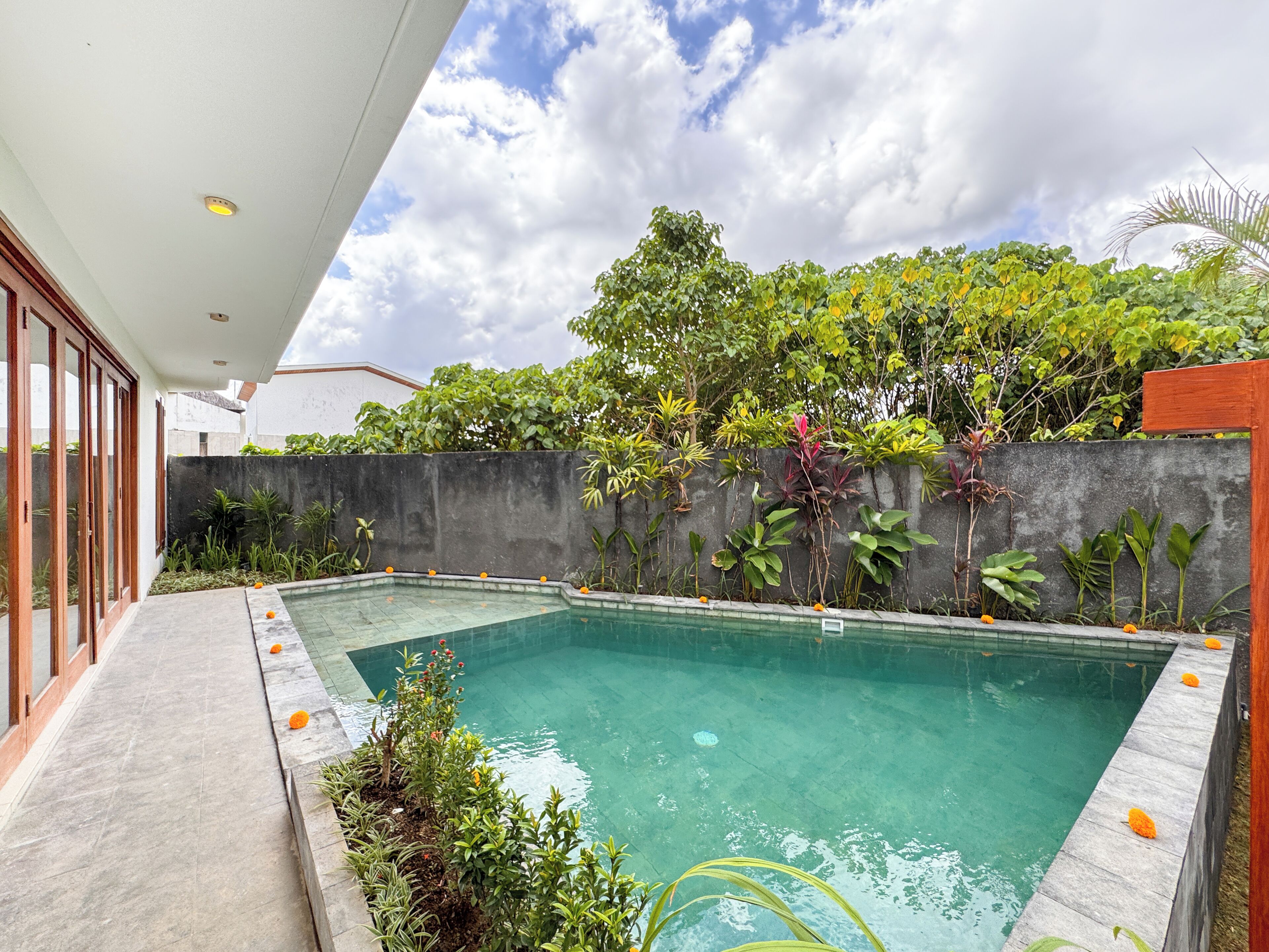 Piscina retangular com borda azulejada, rodeada por diversos tipos de plantas e um muro de concreto.