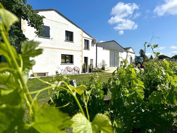 Exterior - Bed and Breakfast 'Chambre D'hôtes Château Austerlitz' with Wi-Fi and Air Conditioning (Libourne)