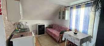 Cozy Apartment in the Heart of Donji Milanovac