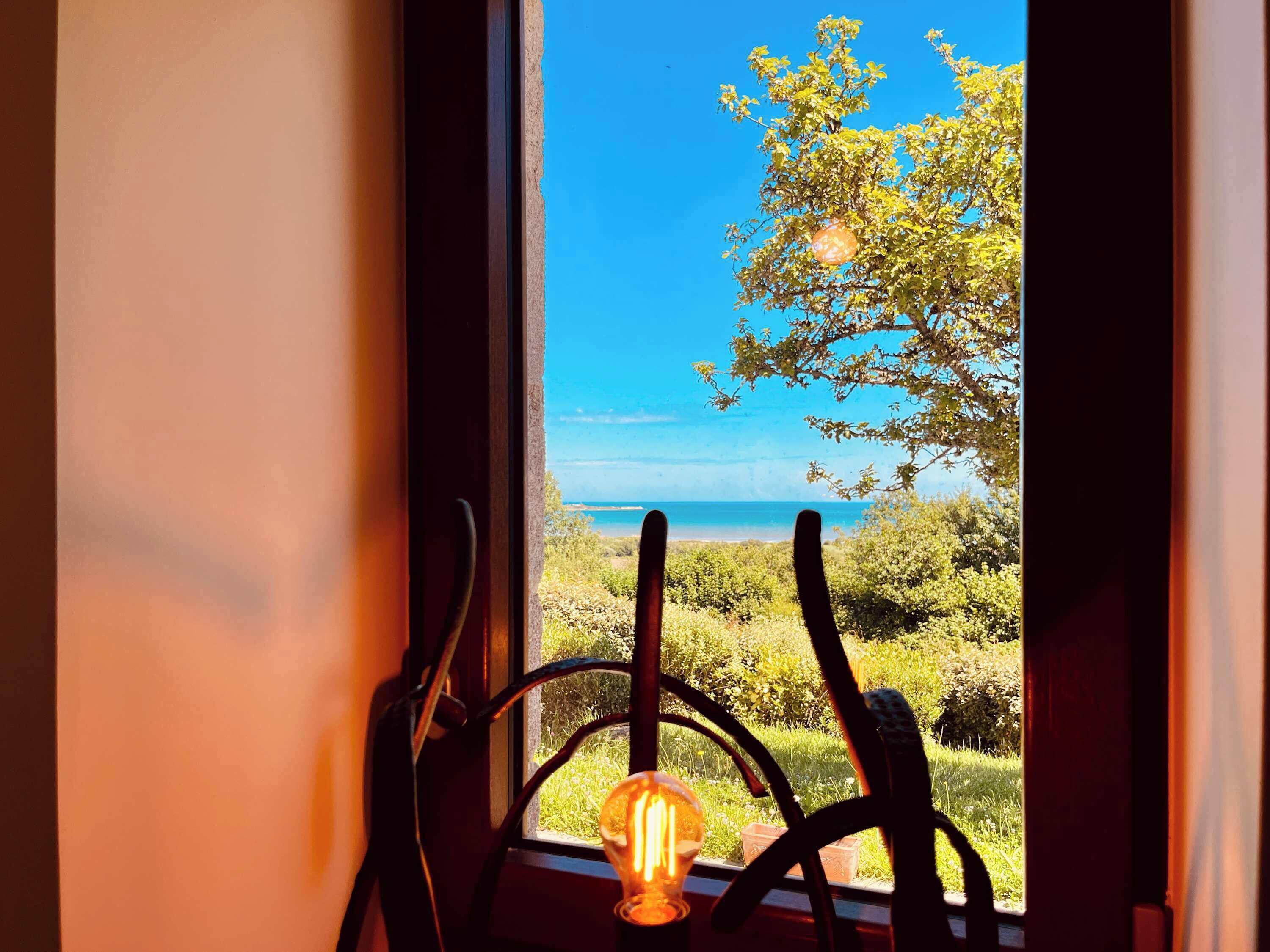 A view through a window with a chair and a light bulb, overlooking a tree and a distant body of water.