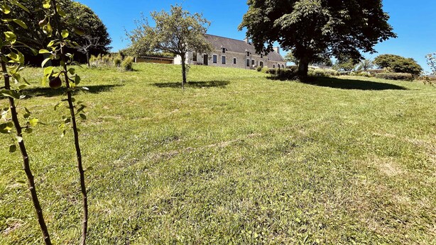 A grassy area with a large tree and a building in the background. - Soleil Levant Exceptional Villa with Pool (Quettehou)