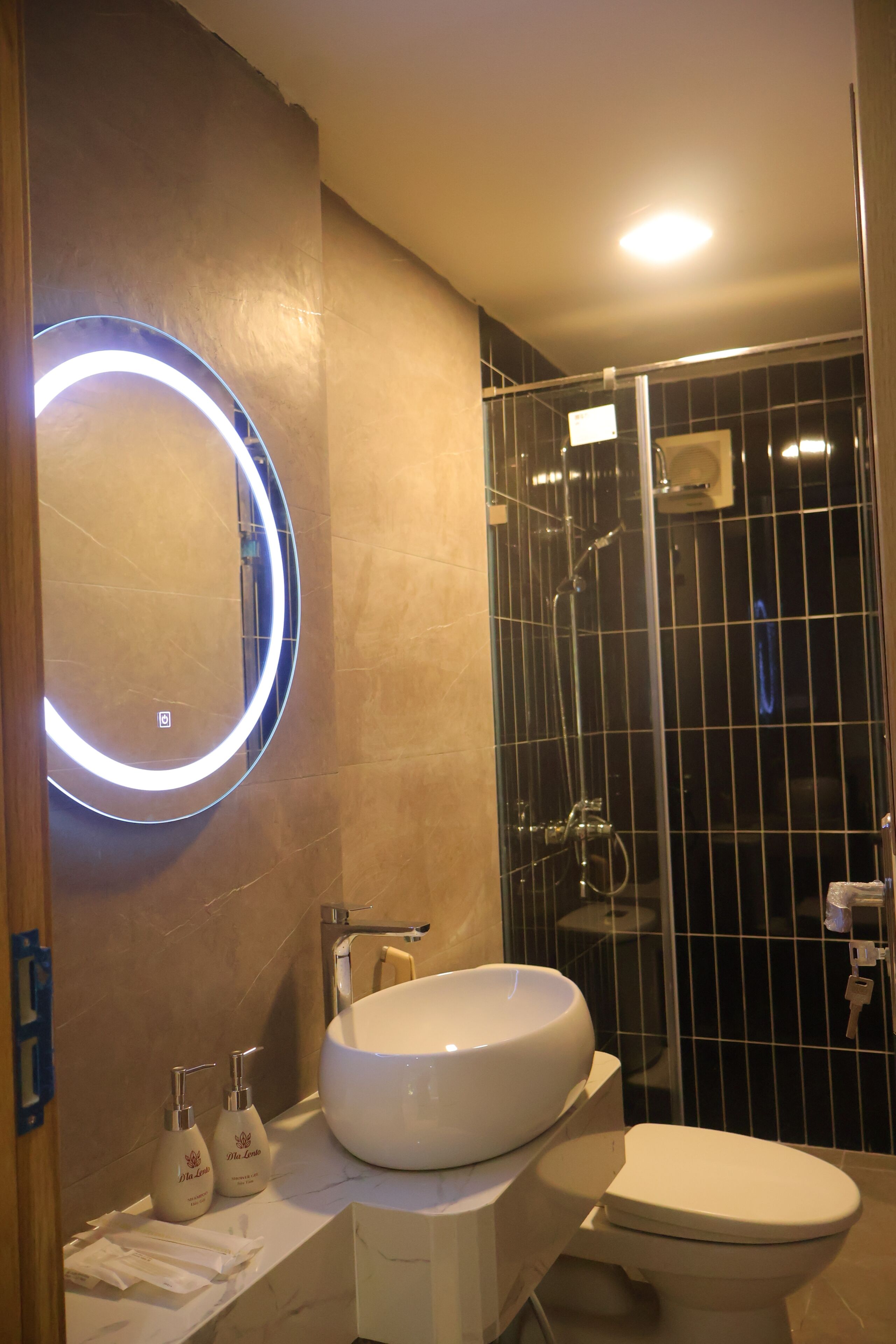 Hair dryer, towels, soap, shampoo