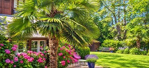 A lush garden with a palm tree, pink flowers, and a wooden structure. - Pichilemu - Beach Access - Trouville-sur-Mer (Trouville-sur-Mer)