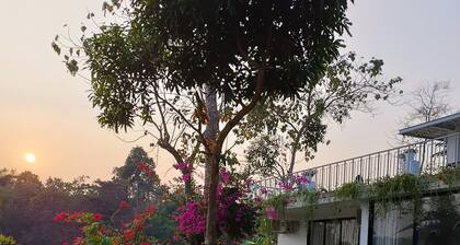you can enjoy the mountains, rivers greenery & modern luxury resort together.