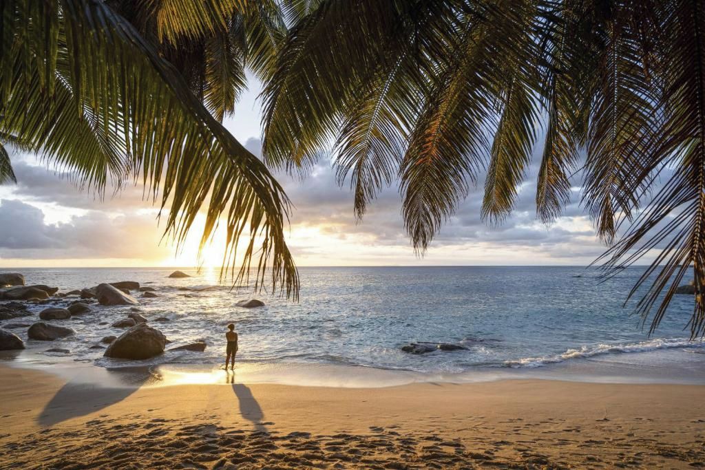 Escena de playa con palmeras, una persona cerca del agua y rocas.