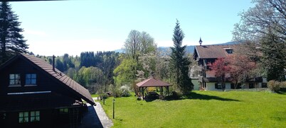 Löw 10 Vacation Rental, 42 square meters with a balcony