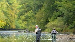 Dos personas pescando en un río rodeado de abundante vegetación.