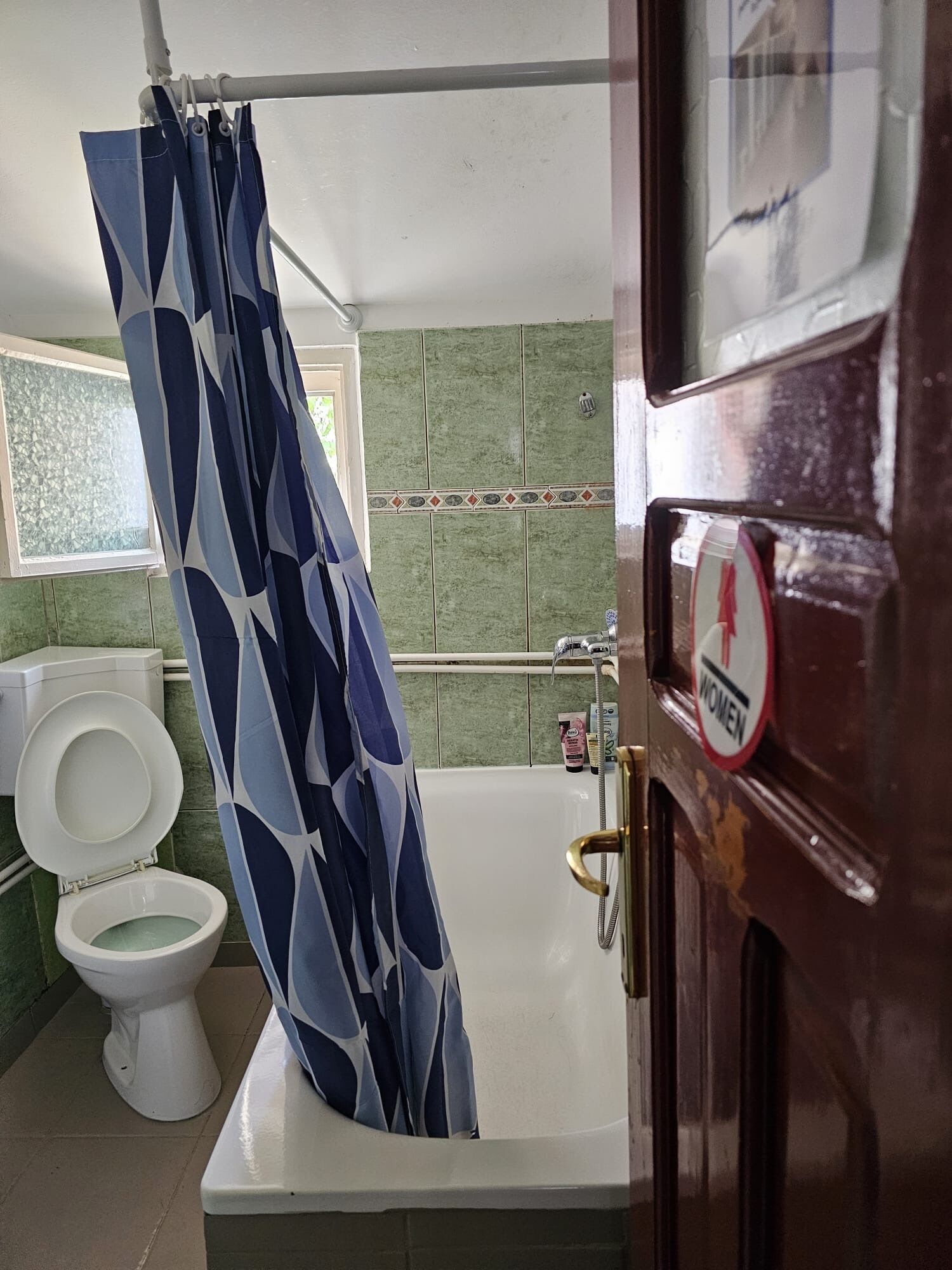 A bathroom with a white toilet, a bathtub, and a shower curtain.