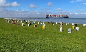 A grassy area with numerous small, numbered tents. - Vacation Rental Wilhelm 14 - Cuxhaven (Cuxhaven)