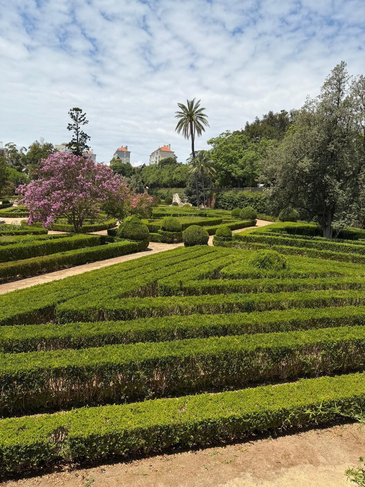 Un jardin aménagé avec des haies soigneusement taillées et une variété d’arbres, dont un arbre à fleurs particulièrement remarquable.