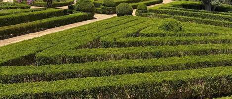 Un jardin aménagé avec des haies soigneusement taillées et une variété d’arbres, dont un arbre à fleurs particulièrement remarquable.