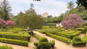 Jardí formal amb talls de setge geomètrics, un arbre al centre i un edifici a la distància.