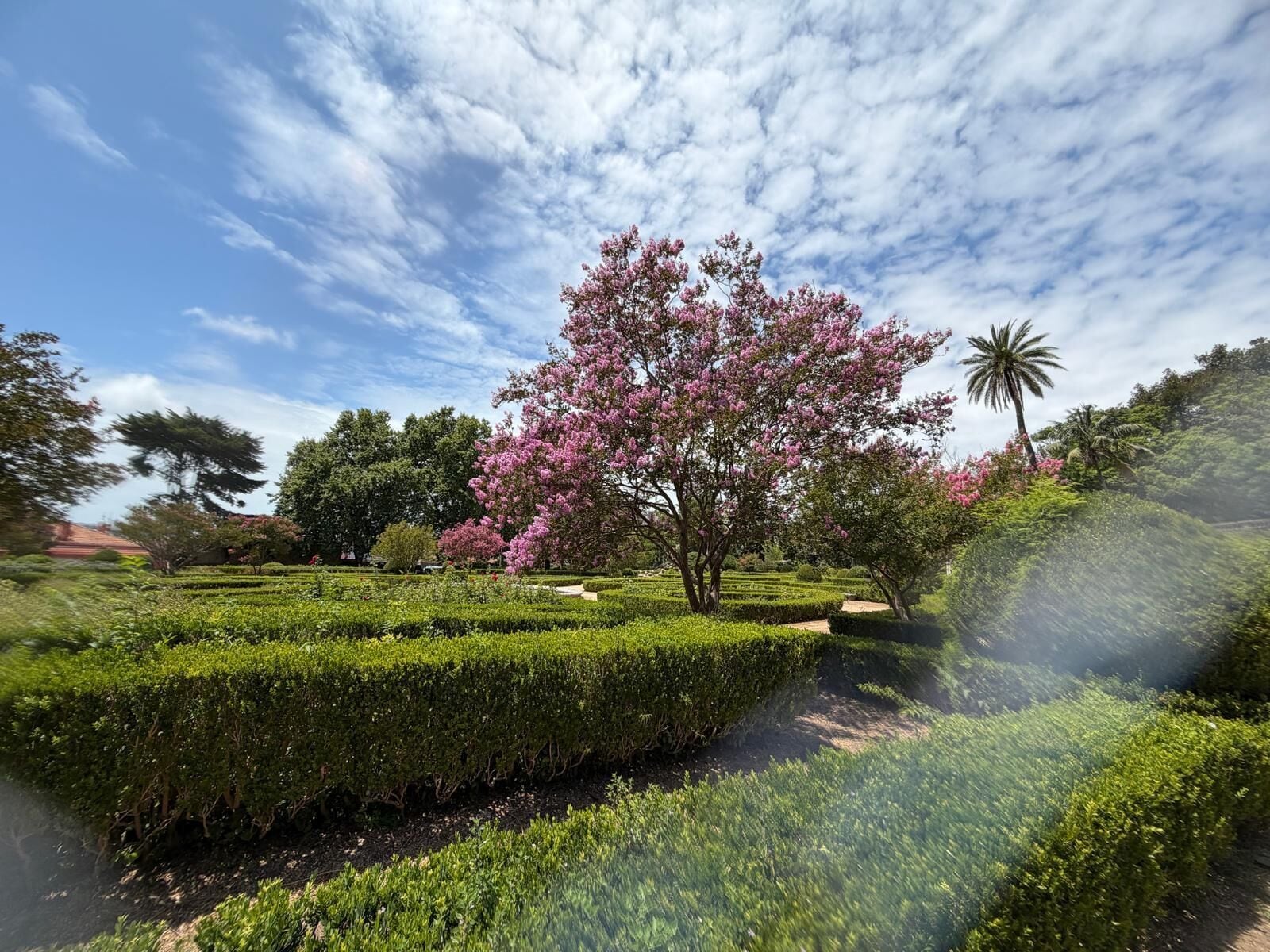 A landscaped garden with neatly trimmed hedges, a variety of trees, and a clear sky.