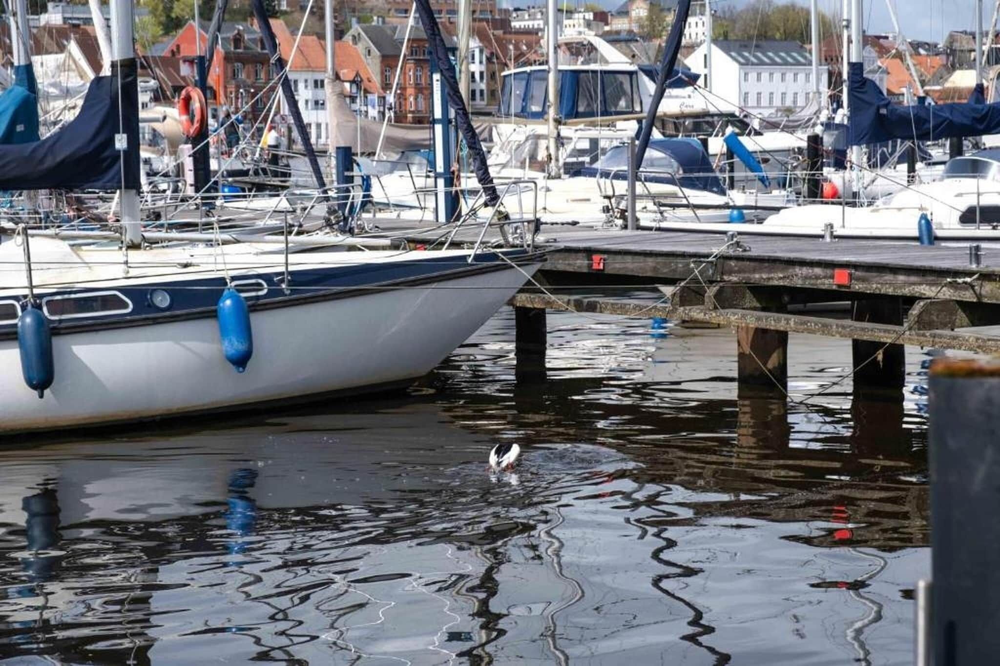 Port de plaisance