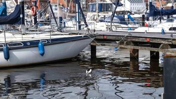 Port de plaisance