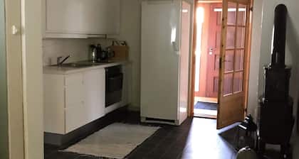 Basement apartment near downtown, the hospital, and the college. Parking.