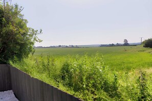 Ländliche Landschaft mit einem Feld, einem Holzzaun und Bäumen im Hintergrund.