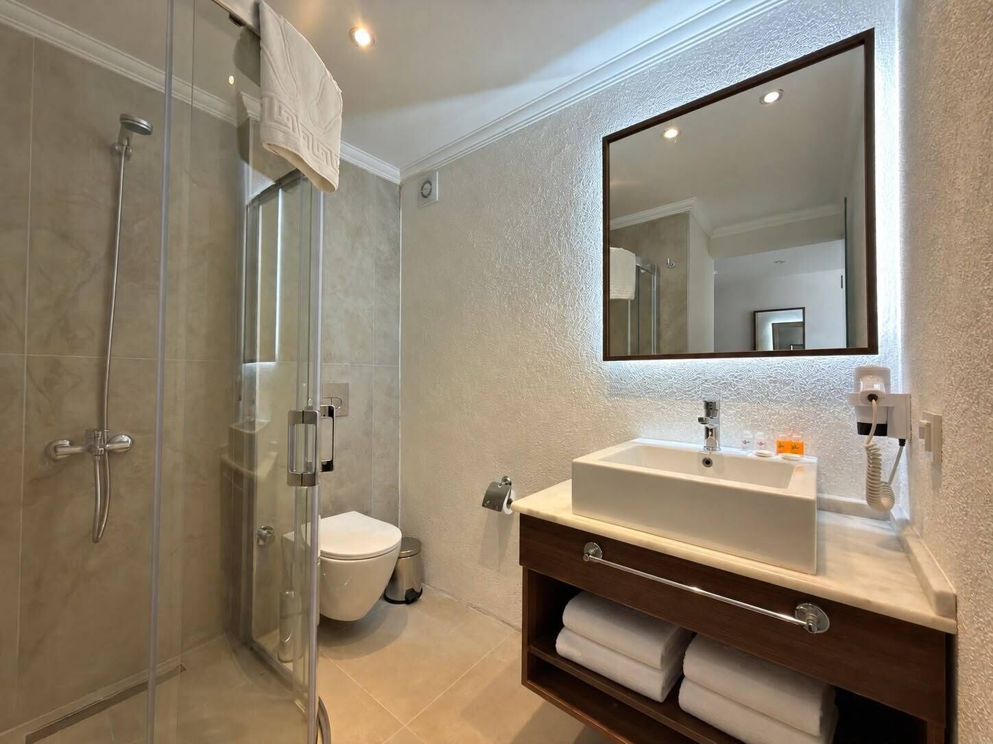 A modern bathroom with a glass-enclosed shower, a toilet, a sink with a vanity, and a large mirror.