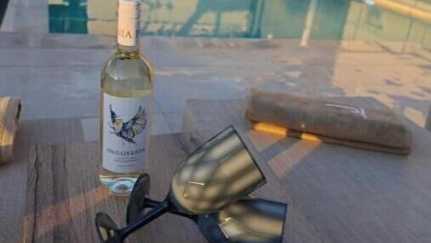 Une bouteille de vin et deux verres sur une table en bois, près d’une piscine.