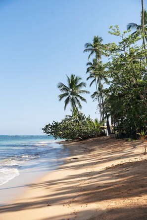 A beach with palm trees and a clear sky. - Beachfront 2BR Condo w/ Balcony • Sol de Arena E4 (Las Terrenas)