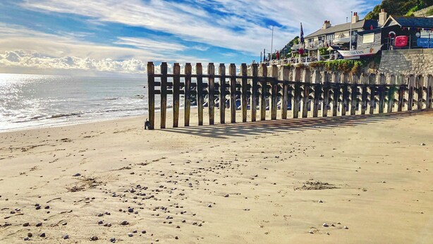 Une plage bordée d’une clôture en bois, un bâtiment sur lequel on peut lire l’inscription « Sharklass Inn », et un ciel dégagé.