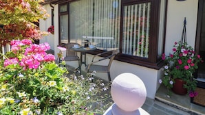 Une pièce avec une fenêtre, une table et des chaises, et une plante en pot.