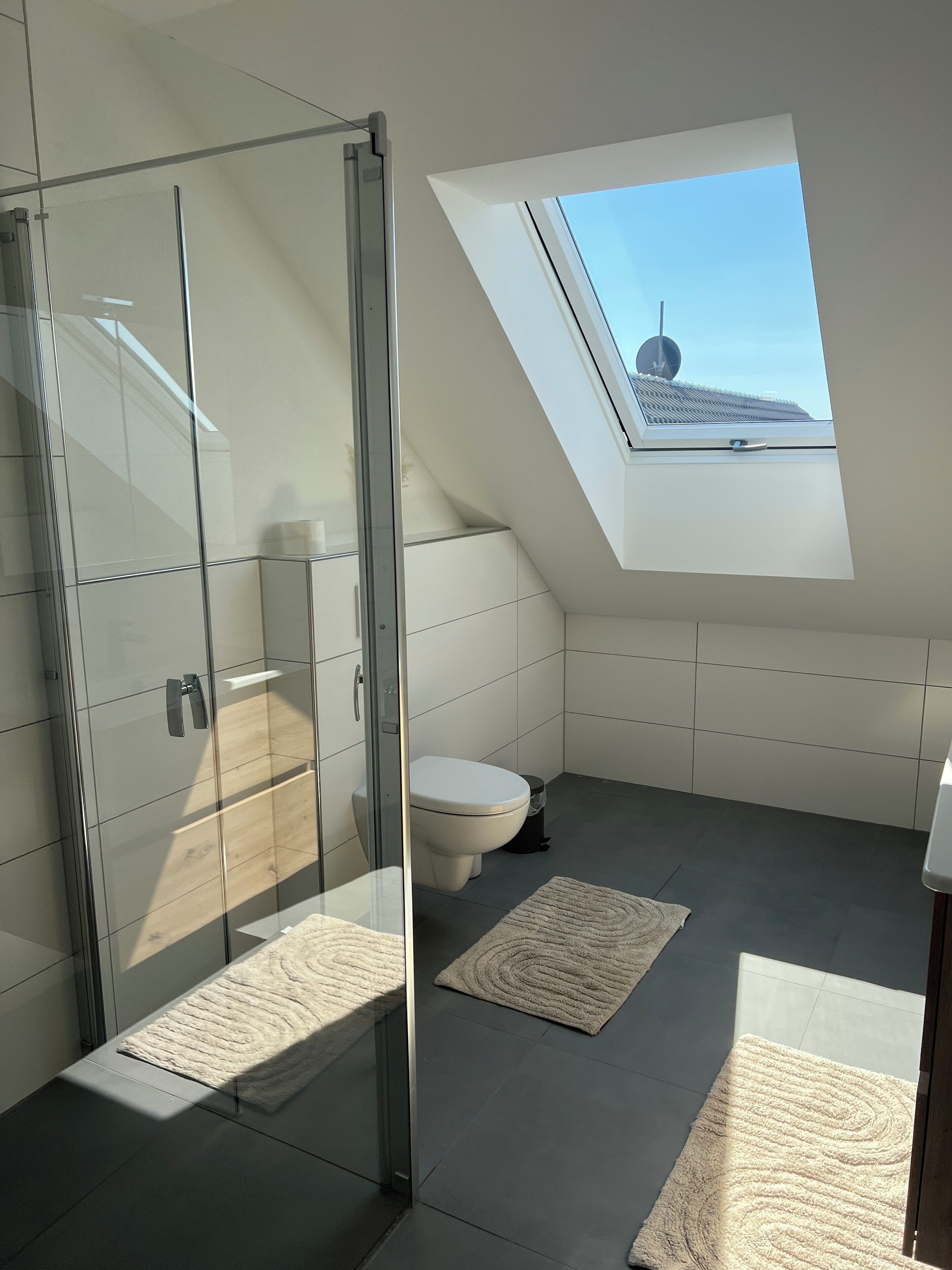 Ein modernes Badezimmer mit Oberlicht, einer Duschkabine aus Glas und einer Toilette.