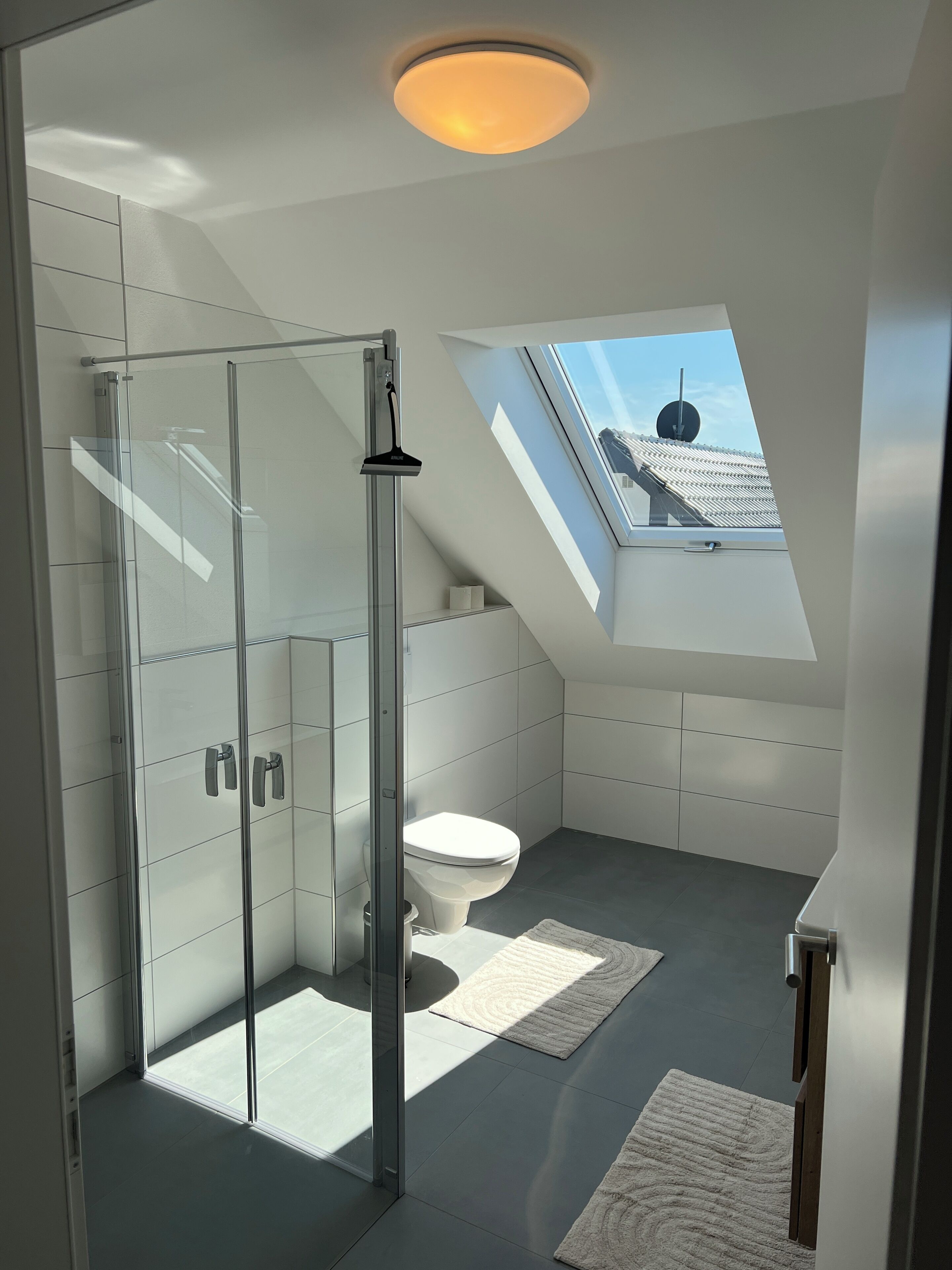 Dusche, Handtücher, Seife, Toilettenpapier