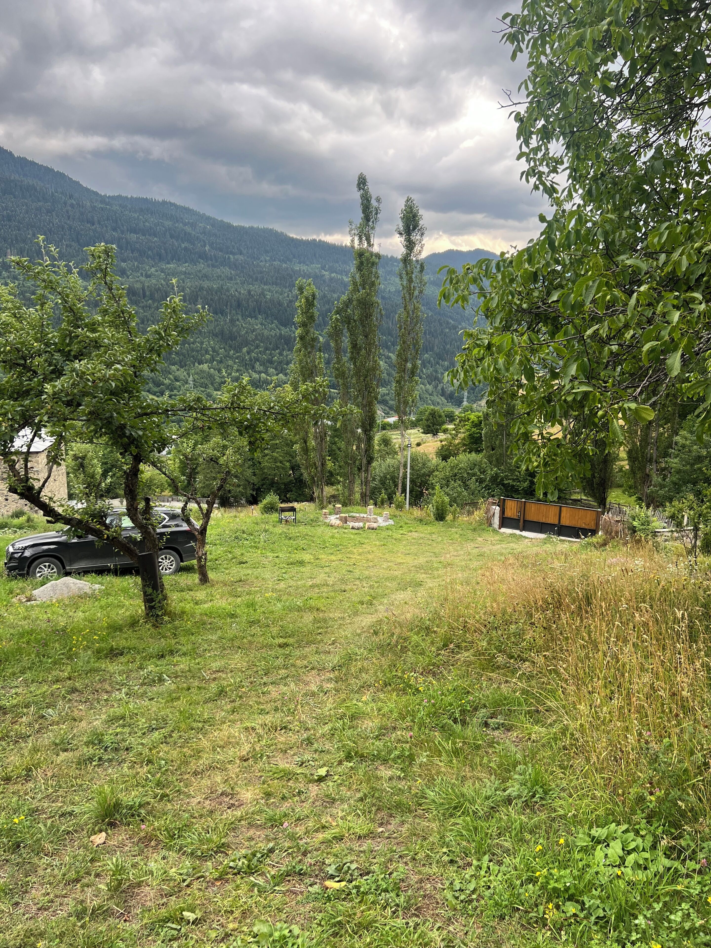 A grassy area with trees, a car, and a building with a sloped roof.