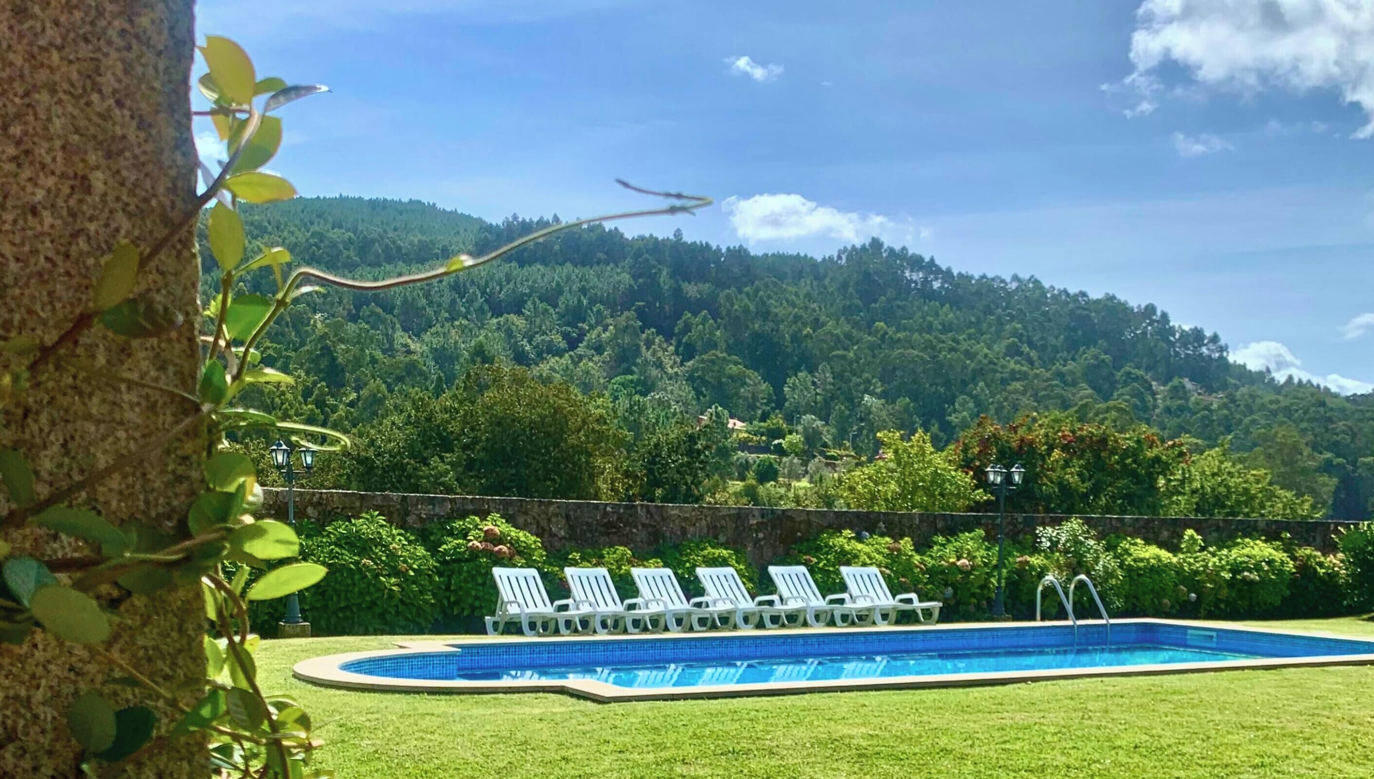 Ein Schwimmbecken mit Liegestühlen, umgeben von einer Steinmauer und üppiger Bepflanzung.